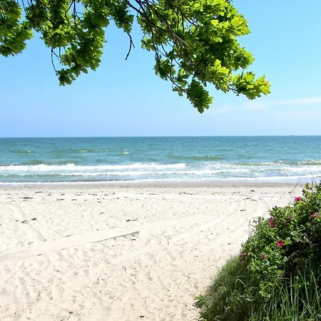 Διαμέρισμα Strandresort Rex Rugia Ferienwohnung 10-2 Mit Sauna- Und Schwimmbadnutzung Im Ahoi Sellin Lobbe