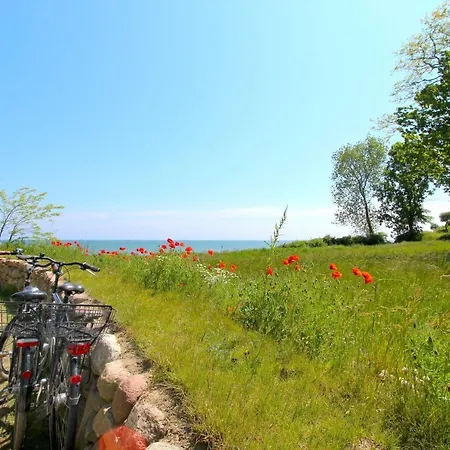 Strandresort Rex Rugia Ferienwohnung 10-2 Mit Sauna- Und Schwimmbadnutzung Im Ahoi Sellin *