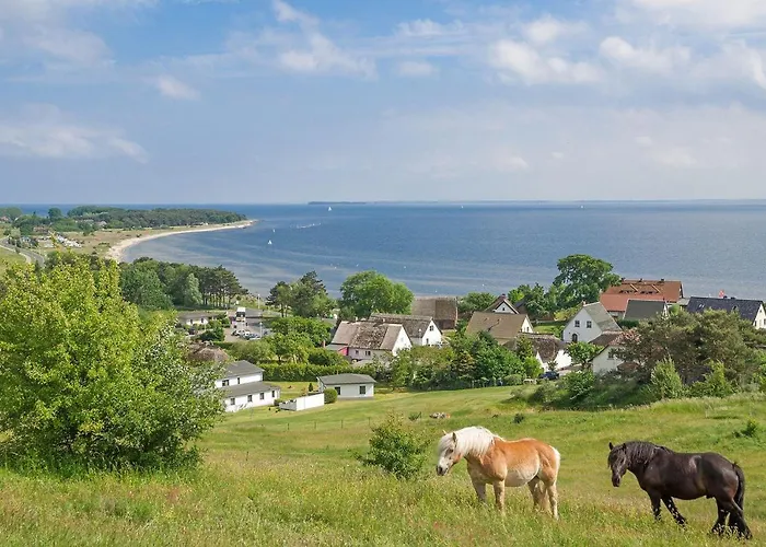 Rex Rugia 10-2 Mit Sauna- Und Schwimmbadnutzung Im Ahoi Sellin