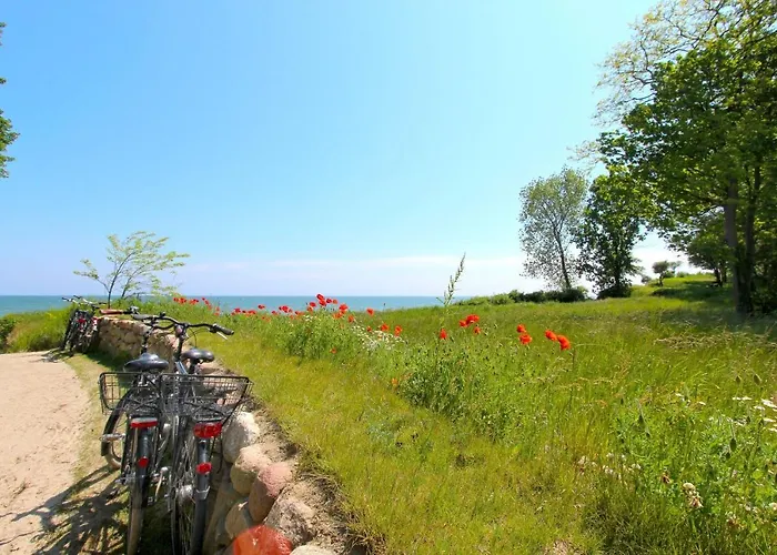 Rex Rugia 10-2 Mit Sauna- Und Schwimmbadnutzung Im Ahoi Sellin *